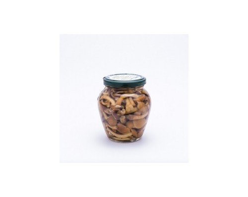 Funghi Famigliola Gialla | Cascina Santa Rita